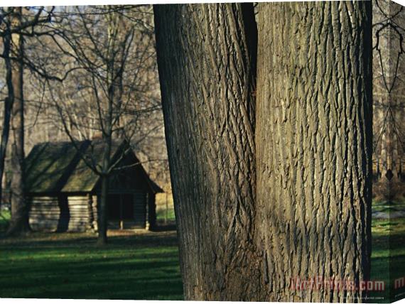 Raymond Gehman Miller Cabin Among Large Trees Established in 1890 Rock Creek Park Stretched Canvas Painting / Canvas Art