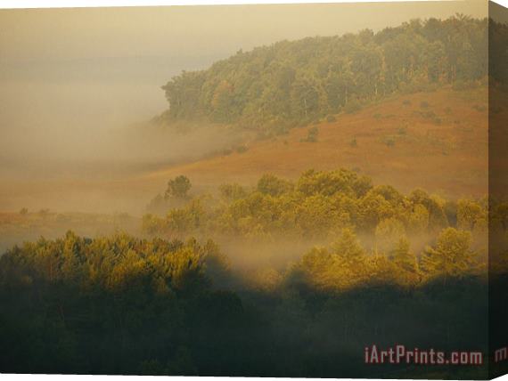 Raymond Gehman Morning Fog Rises From The Forest Stretched Canvas Print / Canvas Art