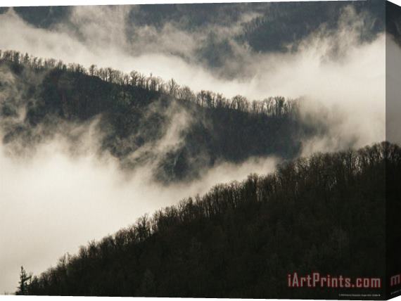 Raymond Gehman Morning Valley Fog Rising Around Thorofare Mountain Stretched Canvas Print / Canvas Art