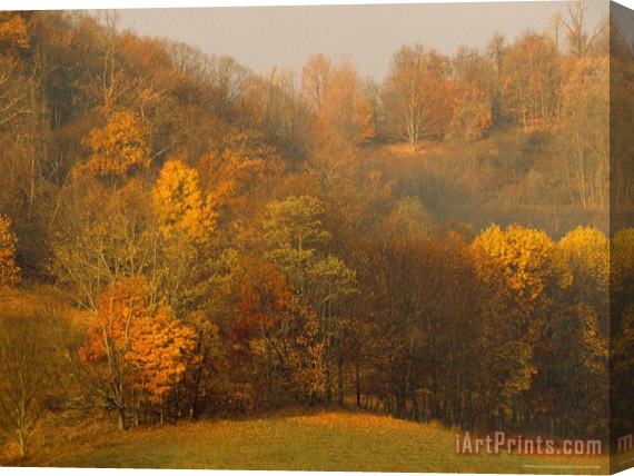 Raymond Gehman Morning View of Autumn Colors in The Jefferson National Forest Stretched Canvas Painting / Canvas Art