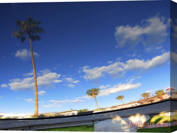 Raymond Gehman Palm Trees And Clear Blue Sky Refelcted in a Car's Shiny Finish Stretched Canvas Print / Canvas Art