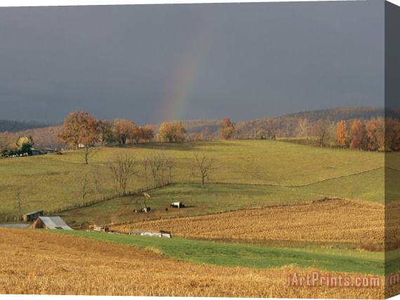 Raymond Gehman Pastoral View of Rolling Fields And Autumn Foliage Stretched Canvas Print / Canvas Art