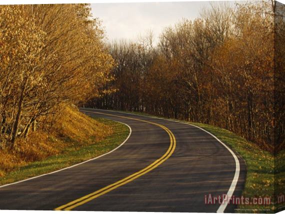 Raymond Gehman Paved Road Runs Through Trees with Autumn Foliage Stretched Canvas Print / Canvas Art