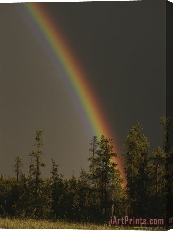 Raymond Gehman Rainbow Arches Above a Stone Mountain Forest Following a Rainstorm Stretched Canvas Painting / Canvas Art