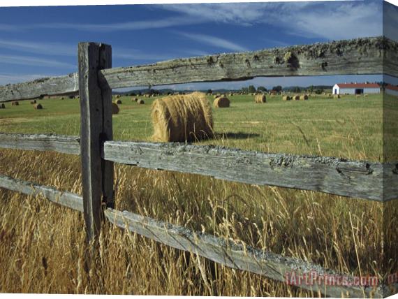 Raymond Gehman Rolls of Hay Fill a Farmers Field Stretched Canvas Painting / Canvas Art