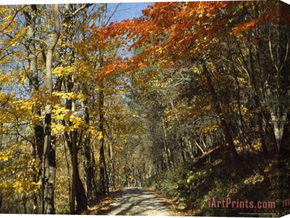 Raymond Gehman Roy Gap Road Trail Stretched Canvas Painting / Canvas Art
