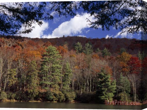 Raymond Gehman Scenic Autumn View of Watoga Lake And Surrounding Forest Stretched Canvas Painting / Canvas Art
