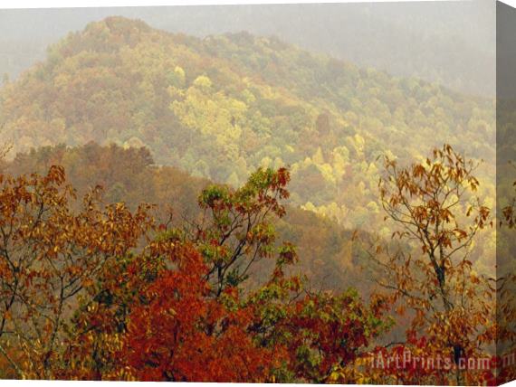 Raymond Gehman Scenic Mountain View with Forests in Autumn Colors Stretched Canvas Print / Canvas Art