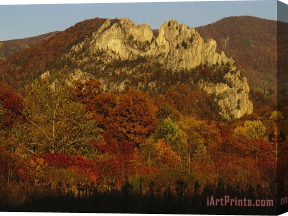 Raymond Gehman Seneca Rocks 900 Feet High with Trees in Autumn Hues Stretched Canvas Painting / Canvas Art