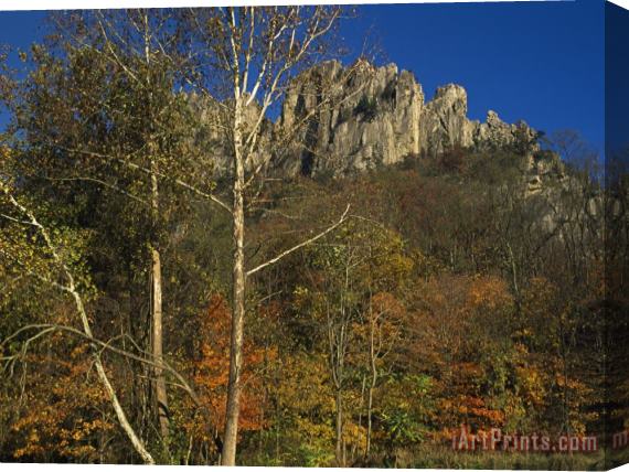Raymond Gehman Seneca Rocks with Trees in Autumn Hues Stretched Canvas Painting / Canvas Art