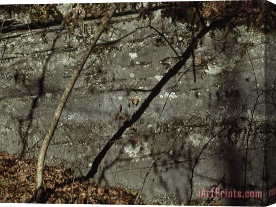 Raymond Gehman Shadows of Trees And Leaves Cast of a Large Boulder Stretched Canvas Print / Canvas Art