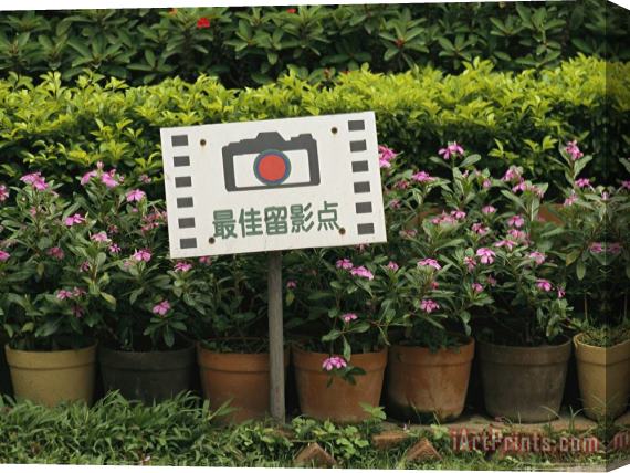 Raymond Gehman Sign in Front of Blooming Plants Indicates a Photo Opportunity Stretched Canvas Painting / Canvas Art