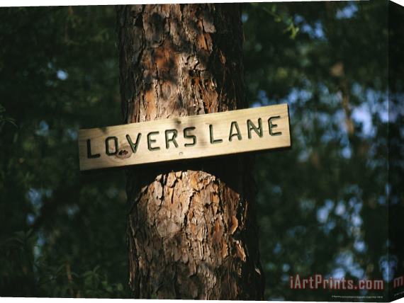 Raymond Gehman Sign on a Tree Marks Lovers Lane Stretched Canvas Print / Canvas Art