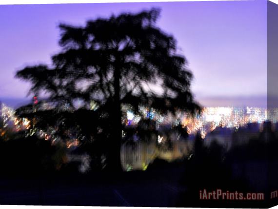 Raymond Gehman Silhouette of Tree with San Francisco in Background Stretched Canvas Print / Canvas Art
