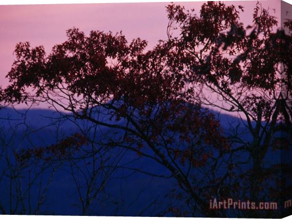 Raymond Gehman Silhouetted Tree And Sunset Over The Blue Ridge Mountains Stretched Canvas Painting / Canvas Art
