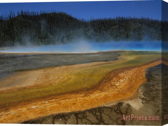 Raymond Gehman Steam Rises From a Hot Spring with Algae Growing Along The Edges Stretched Canvas Print / Canvas Art