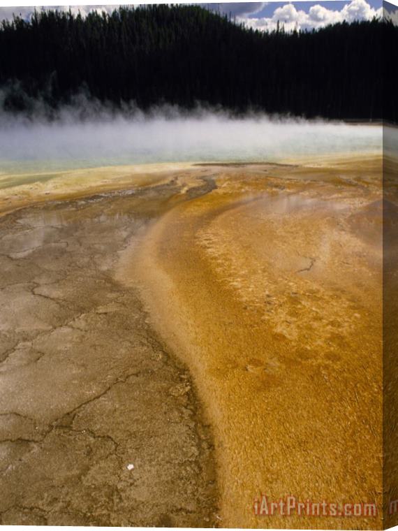 Raymond Gehman Steam Rises From Grand Prismatic Largest of Yellowstone's Thermal Springs Stretched Canvas Painting / Canvas Art