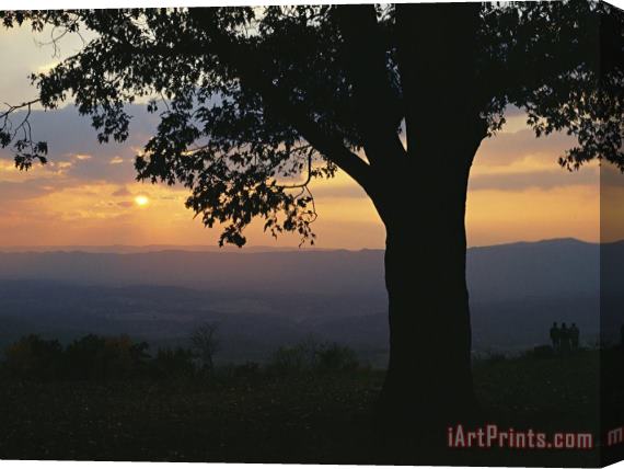 Raymond Gehman Sunset And Silhouetted Oak Tree Over The Shenandoah Valley Dickeys Ridge Visitors Center Stretched Canvas Painting / Canvas Art