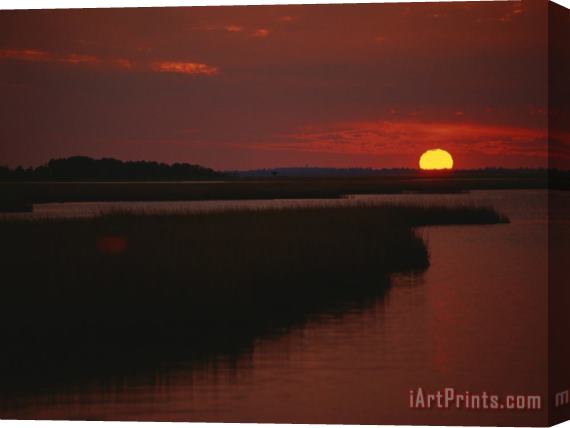 Raymond Gehman Sunset Over Assateague Channel with Cordgrass Stretched Canvas Print / Canvas Art