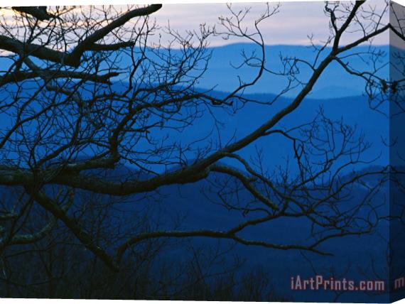 Raymond Gehman Sunset Through Silhouetted Tree Branches And Over Mountains Stretched Canvas Painting / Canvas Art
