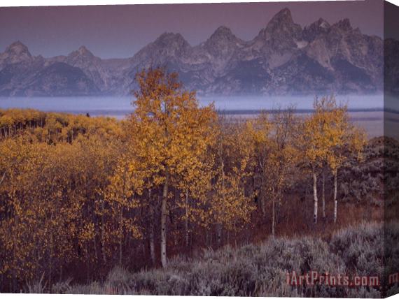 Raymond Gehman Teton Range Towers Above Jackson Hole Wyoming Stretched Canvas Print / Canvas Art