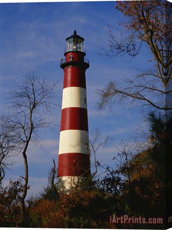 Raymond Gehman The Assateague Island Lighthouse Against a Blue Sky Stretched Canvas Painting / Canvas Art
