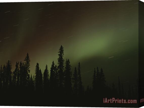 Raymond Gehman The Aurora Borealis Puts on a Light Show Above The Mackenzie River Stretched Canvas Print / Canvas Art
