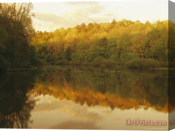 Raymond Gehman Tree Lined Banks Are Reflected on Brushy Lake Stretched Canvas Print / Canvas Art