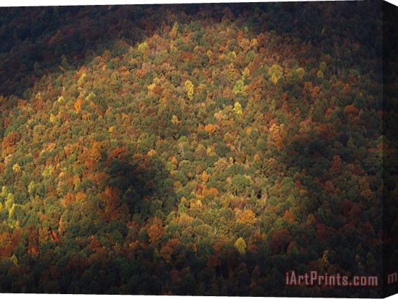 Raymond Gehman Trees in Autumn Foliage Seen From The Grand View Overlook Stretched Canvas Print / Canvas Art