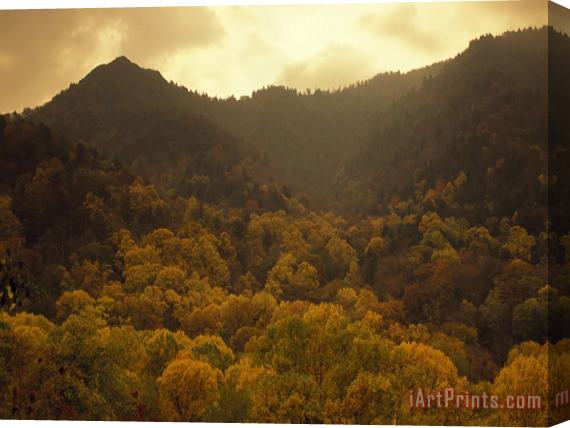 Raymond Gehman Trees in Autumn Hues Covering Ancient Mountain Ridges Stretched Canvas Painting / Canvas Art