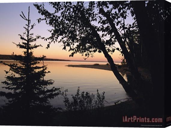 Raymond Gehman Trees Stand Silhouetted Against Waskesiu Lake at Sunset Stretched Canvas Print / Canvas Art