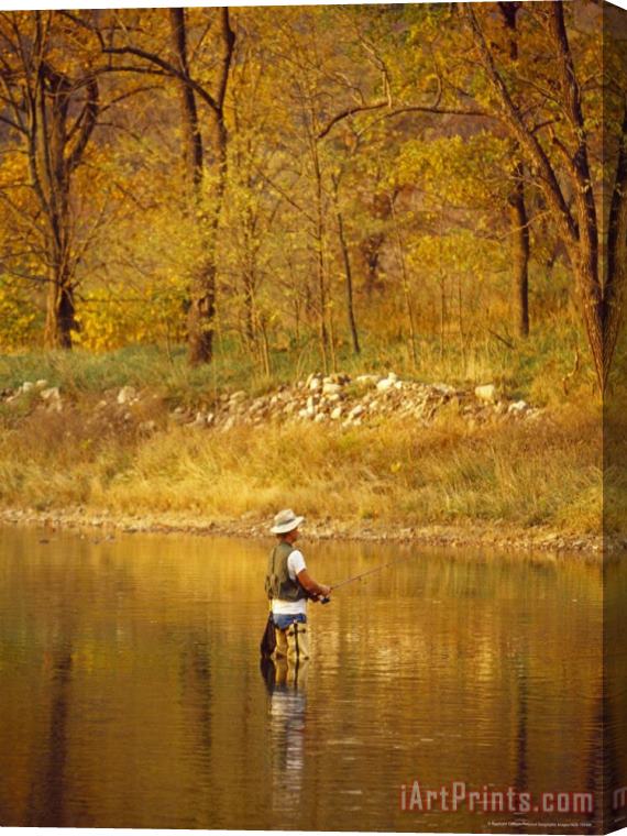 Raymond Gehman Trout Fisherman in The North Fork of The Potomac River Stretched Canvas Print / Canvas Art
