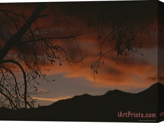 Raymond Gehman Twilight View Grand Teton National Park Wyoming Stretched Canvas Print / Canvas Art