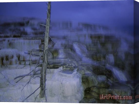 Raymond Gehman Twilight Winter View of Mammoth Hot Springs Stretched Canvas Print / Canvas Art