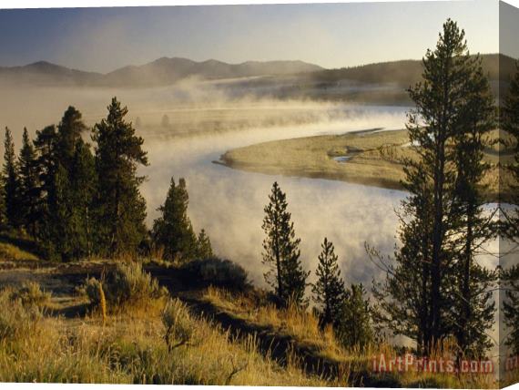 Raymond Gehman Veiled in Morning Mist The Yellowstone River Winds Through Hayden Valley Stretched Canvas Painting / Canvas Art