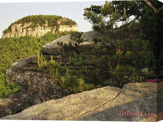 Raymond Gehman View of The Pinnacle of Pilot Mountain From The Sassafras Trail Stretched Canvas Print / Canvas Art