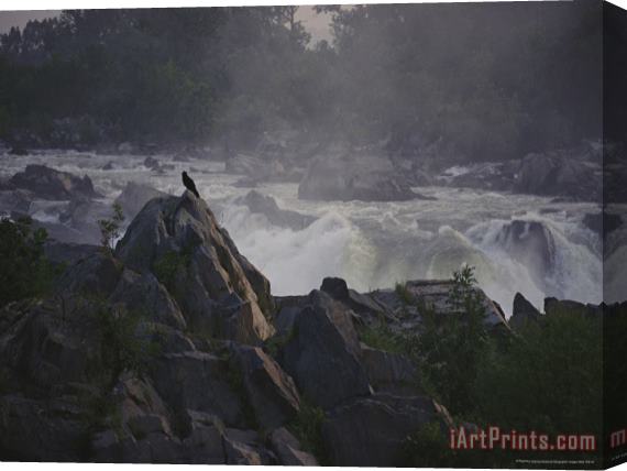 Raymond Gehman View of Waterfalls at Great Falls State Park at Dawn Stretched Canvas Print / Canvas Art