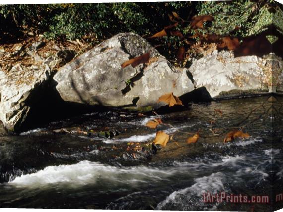 Raymond Gehman Water Rushing Past Boulders Along The Banks of The Nantahala River Stretched Canvas Print / Canvas Art