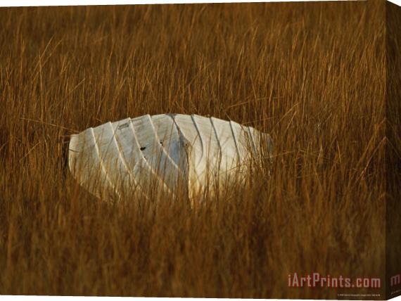 Raymond Gehman Watermans Boat Upturned in a Cordgrass Salt Marsh Stretched Canvas Painting / Canvas Art