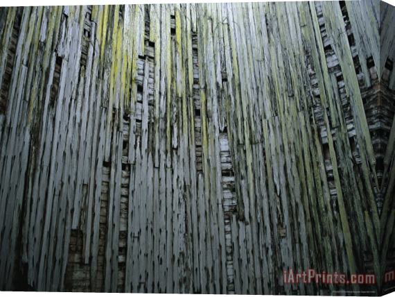 Raymond Gehman Weathered Wood Ruins on The Dungeoness Estate Stretched Canvas Print / Canvas Art