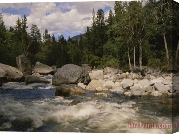 Raymond Gehman White Water Rapids Roll Over Rocks in a River Running Through Woods Stretched Canvas Print / Canvas Art