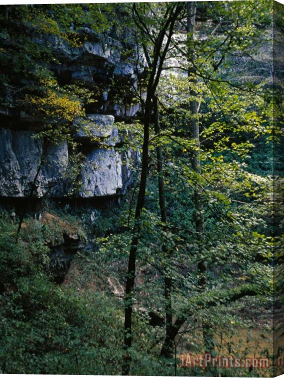 Raymond Gehman Wooded Scenery And Rock Outcrops Viewed From Inside a Sinkhole Stretched Canvas Print / Canvas Art