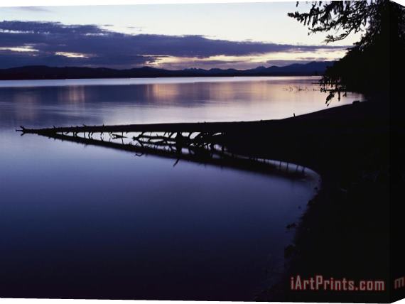 Raymond Gehman Yellowstone Lake at Dawn Yellowstone National Park Wyoming Stretched Canvas Painting / Canvas Art