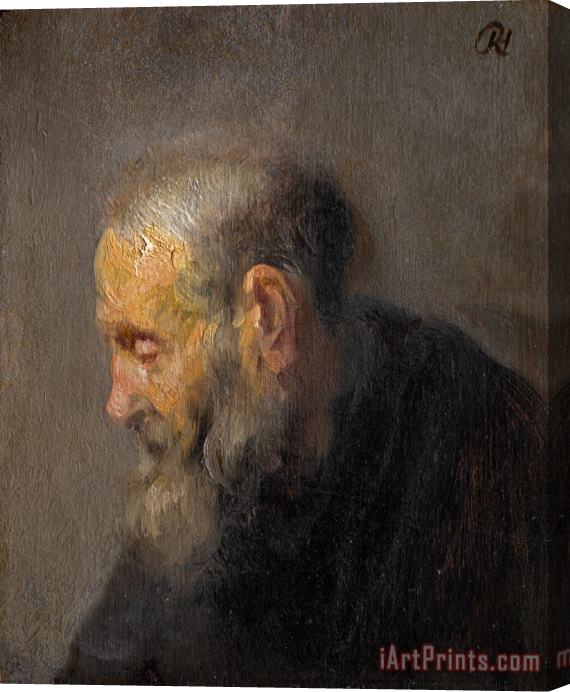 Rembrandt Harmensz van Rijn Study of an Old Man in Profile Stretched Canvas Print / Canvas Art