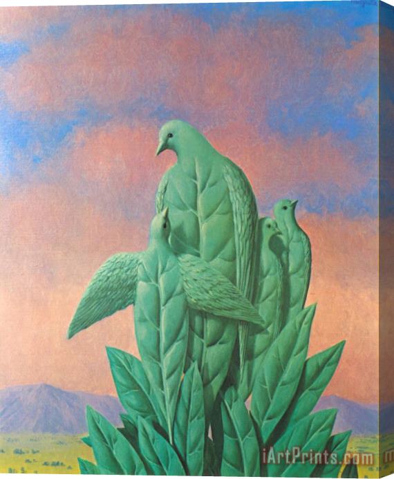 rene magritte The Natural Graces 1963 Stretched Canvas Print / Canvas Art