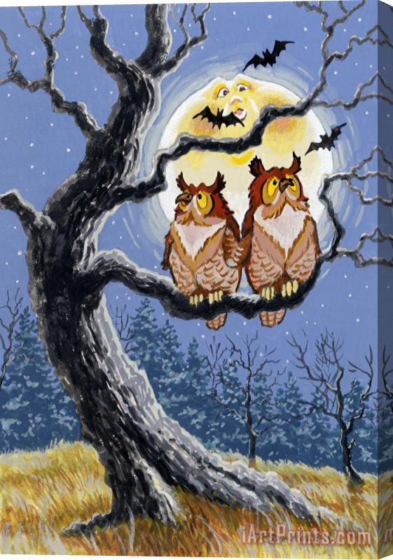 Richard De Wolfe Hooty Whos There Stretched Canvas Painting / Canvas Art