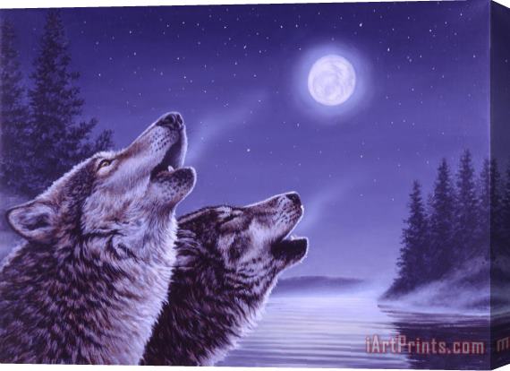 Richard De Wolfe Song of the North Stretched Canvas Painting / Canvas Art