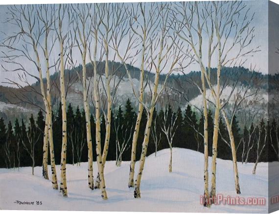 Richard De Wolfe Winter Poplars Stretched Canvas Print / Canvas Art