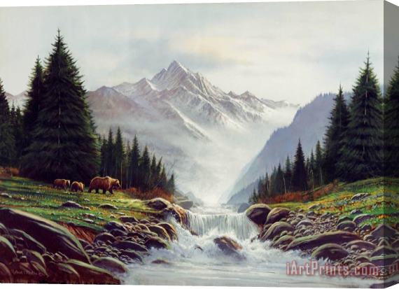 Robert Foster Bear Mountain Stretched Canvas Print / Canvas Art