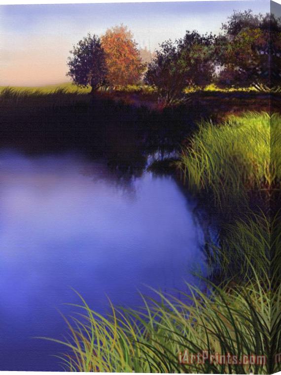 Robert Foster Blue Pond Stretched Canvas Painting / Canvas Art